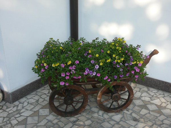 Photo of the garden Transacqua (Primiero)
