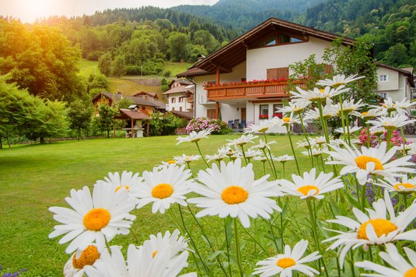 Sommer Präsentationsbild Ferienwohnung Casa Partel