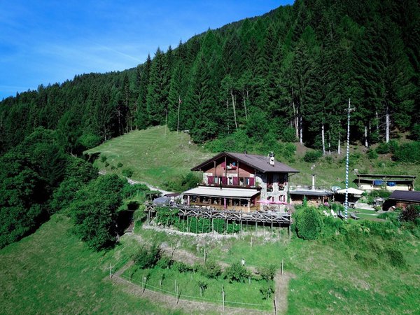 Position Mountain hut Zeni Tiroler Hof Transacqua (Primiero)