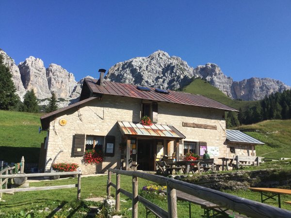 Sommer Präsentationsbild Berghütte mit Zimmern Boz