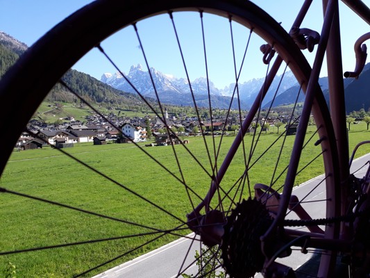 Photo of some details Cicli Bettega