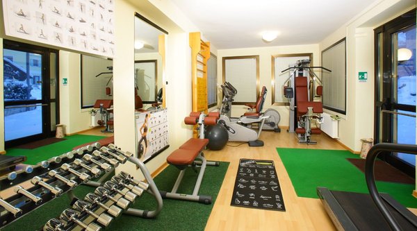 Foto della zona fitness Hotel Alexander