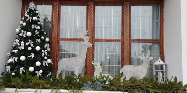 Photo exteriors in winter Belvedere