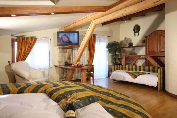 Photo of the room Hotel Garden