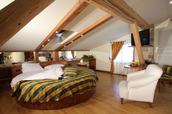 Photo of the room Hotel Garden
