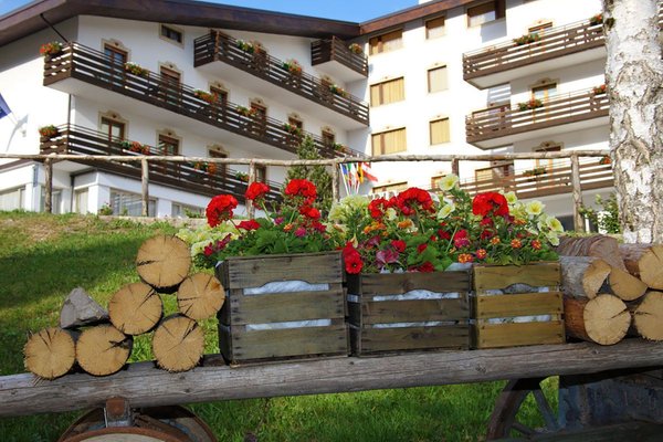 Photo exteriors in summer Splendid