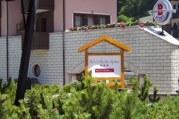 Logo Stella Alpina