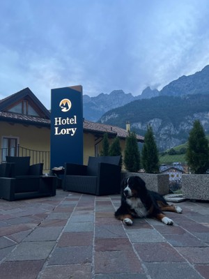 Foto esterno Hotel Lory