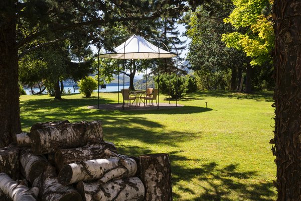 Photo of the garden Molveno