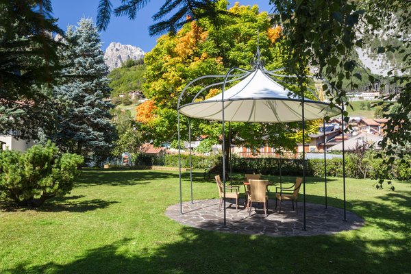 Photo of the garden Molveno