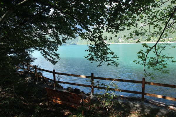 Photo gallery summer