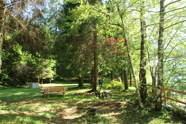 Photo of the garden Molveno