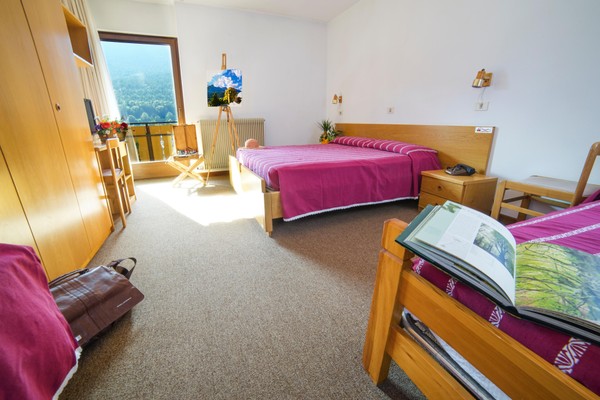 Foto della camera Hotel Pavone