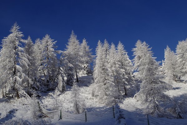 Photo gallery Valle di Primiero winter