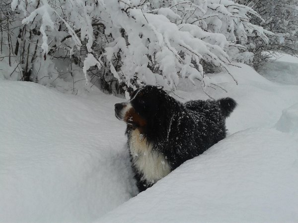 Photo gallery winter