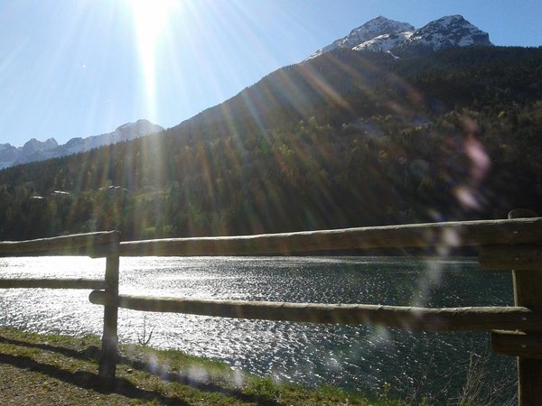 Photo gallery summer