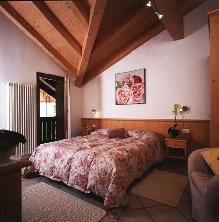 Photo of the room Apartments Bazzanella