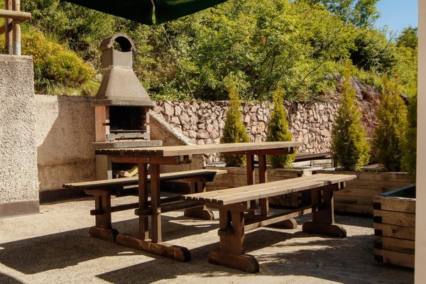 Photo of the garden Andalo