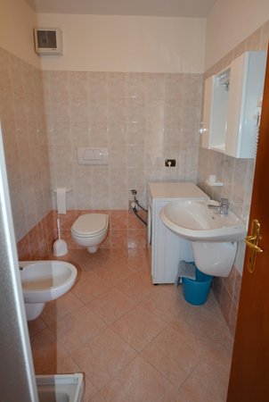 Photo of the bathroom Apartments Al Pont