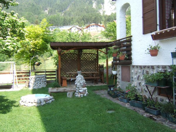 Photo of the garden Molveno