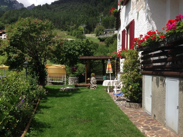 Photo of the garden Molveno
