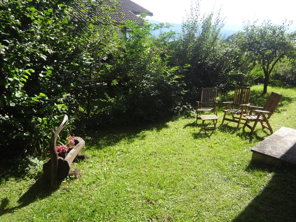 Photo of the garden Fai della Paganella