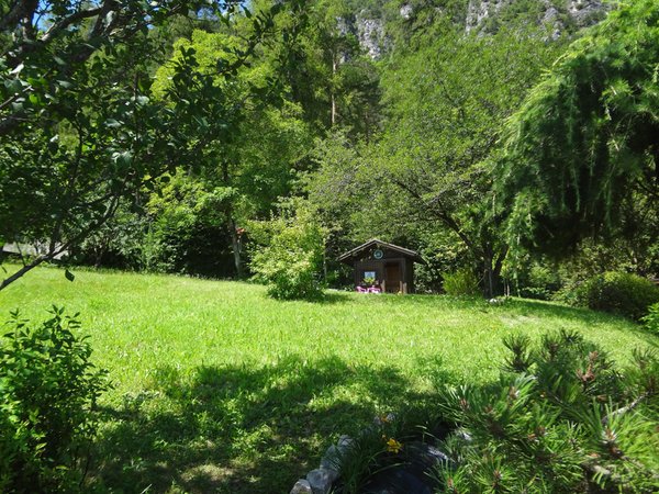 Photo of the garden Fai della Paganella