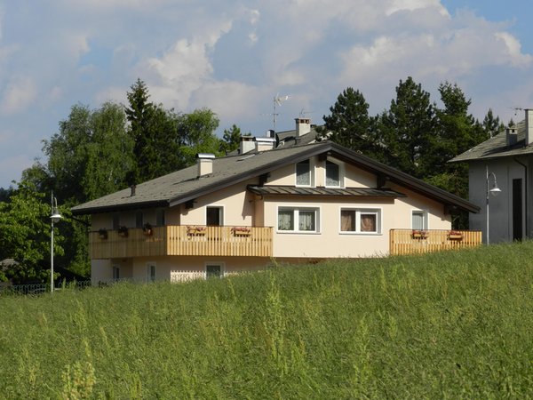 Foto estiva di presentazione Appartamenti Casa Pallanch