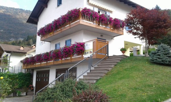 Foto Außenansicht im Sommer Viola Arrigo