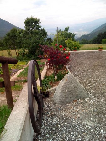 Bildergalerie Sommer