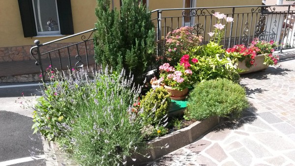 Foto esterno Appartamenti Casa Alba Chiara