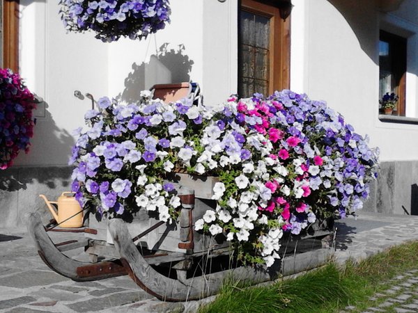 Foto del giardino Livigno