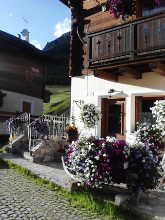 Foto del giardino Livigno