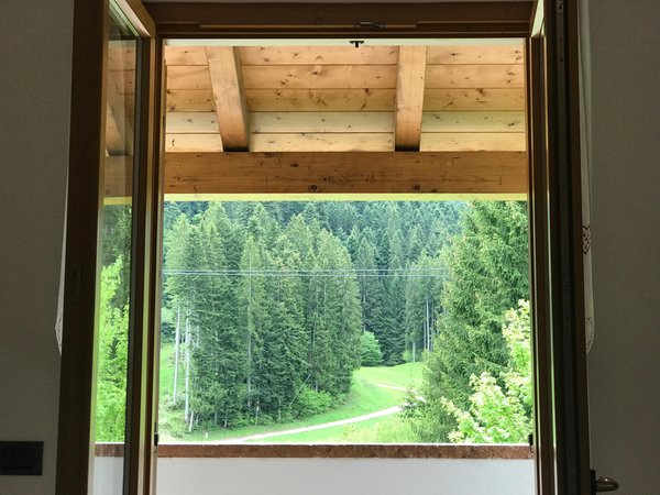 Vista dalla struttura
