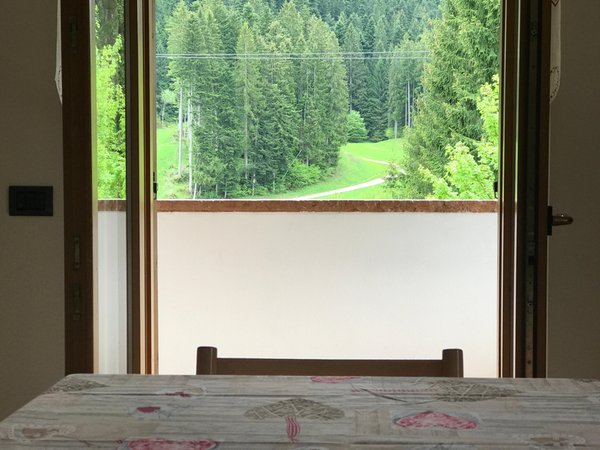 Vista dalla struttura