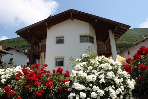 Foto esterno Bed & Breakfast Primavera