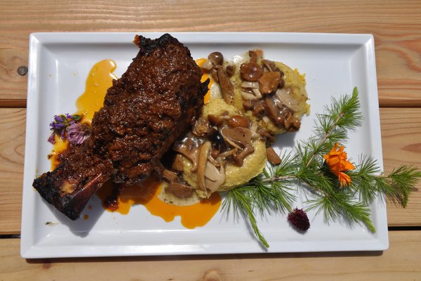 Ricette e proposte gourmet Malga Zambana