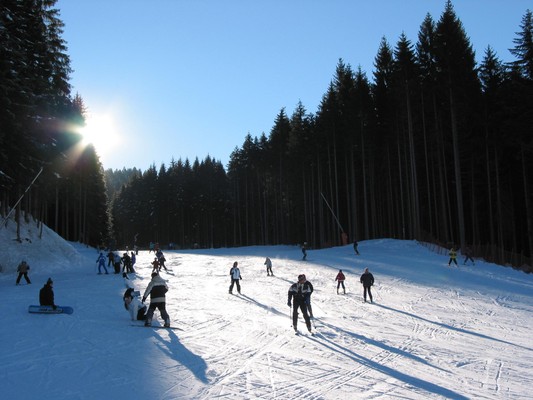 Attività invernali Paganella