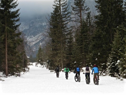 Activities Friulian Alps