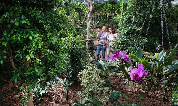 Foto del giardino Gargazzone (Lana)