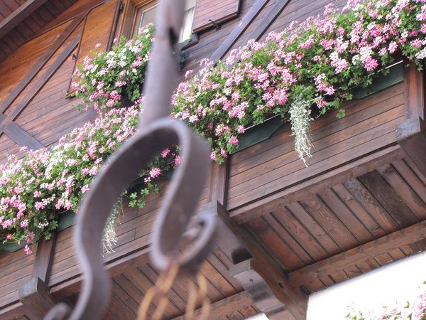 Photo of some details Club Hotel Alpino