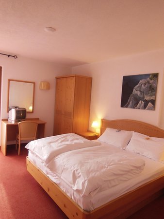 Foto della camera Hotel Grizzly