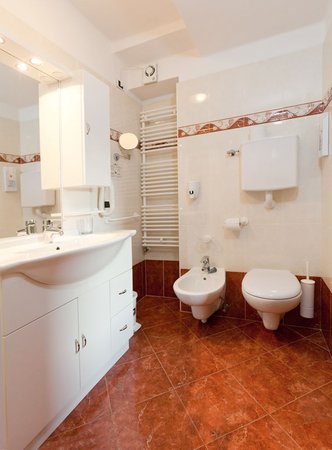 Photo of the bathroom Hotel Rosalpina