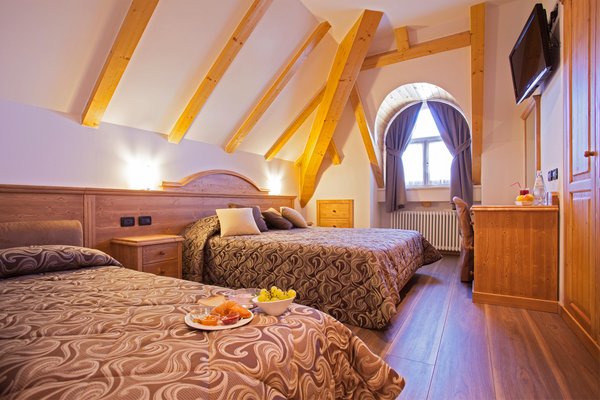 Photo of the room Hotel Vittoria