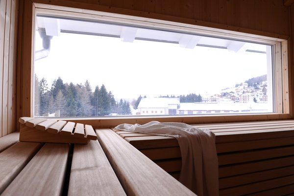 Foto della sauna Costa