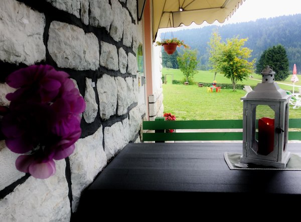 Photo of the garden Folgaria