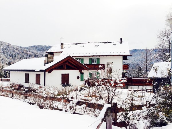 Photo exteriors in winter La Madonnina