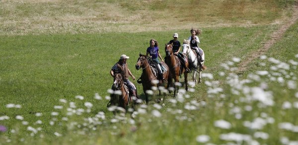 Summer activities Alpe Cimbra - Folgaria and surroundings