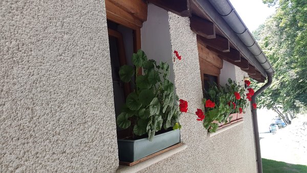 Foto esterno in estate Schiavi Angelica