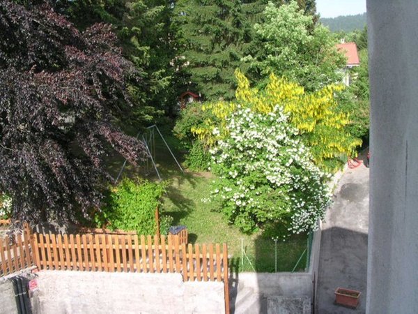 Foto del giardino Folgaria